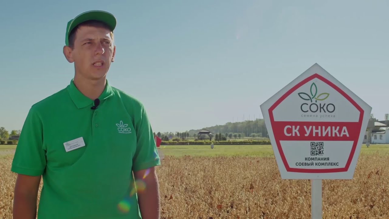 Селекционер Альберт Щегольков рассказывает о сое