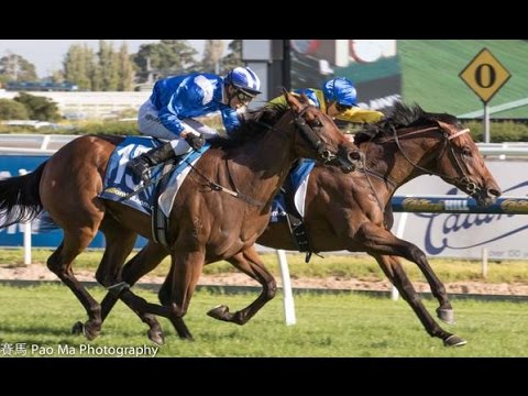 BLUE DIAMOND STAKES-28FEB CAULFIELD