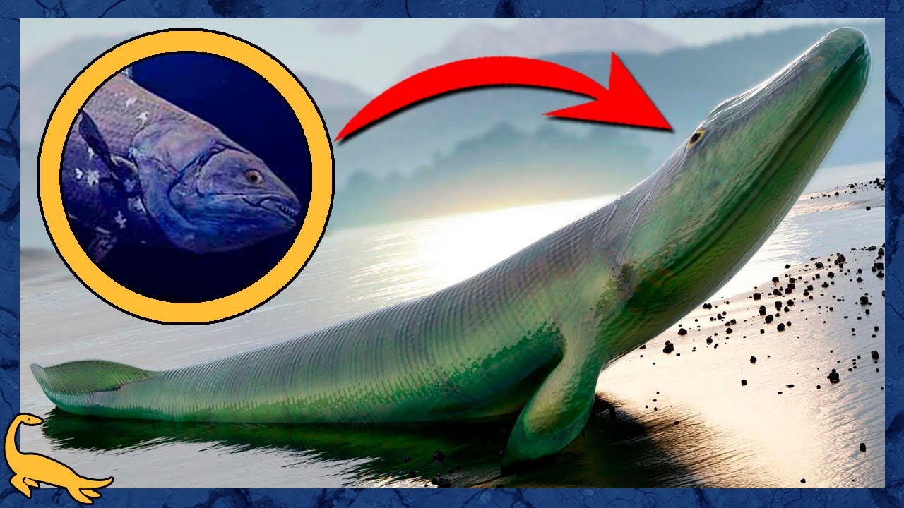 A EVOLUÇÃO do CRÂNIO nos PRIMEIROS TETRÁPODES