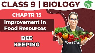 Bee Keeping Class 9 - Biology Chapter 15 | Improvement in Food Resources