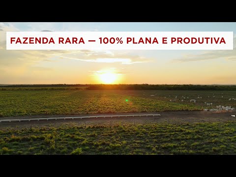 Fazenda Tecnificada com 1.776 ha | Dupla Aptidão e Confinamento | Santa Rosa do TO | 55 Mi