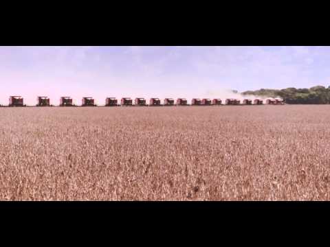 Colheita video