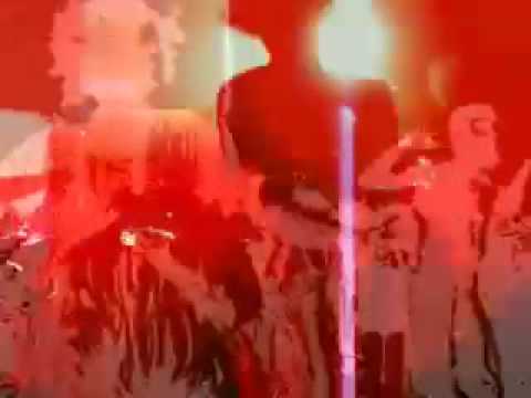 the Amorphous Androgynous-NEW ALBUM-the Peppermint Tree