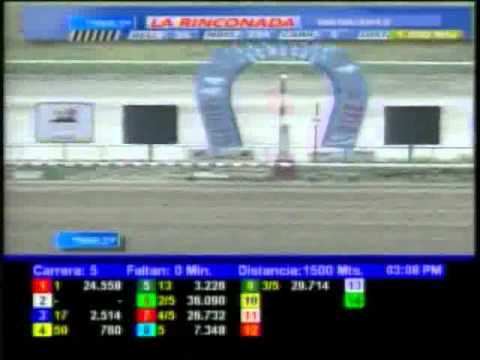 Resumen, Domingo, 08 de Abril de 2012 - La Rinconada