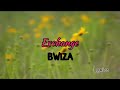 Bwiza _ Exchange ( lyrics )