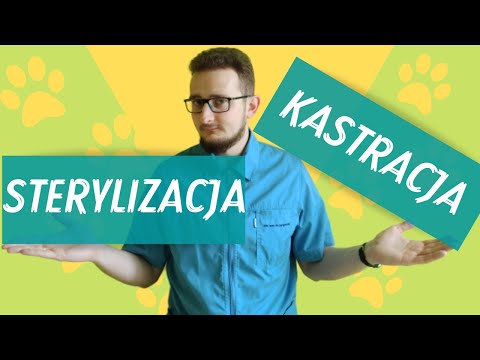 Kastracja czy sterylizacja? - O różnicach między tymi zabiegami #17