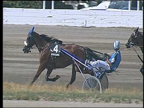 Trotto 25/06/2016 - 3° corsa