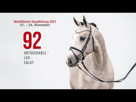 Hauptkörung 2021 Reitpferdehengste Kat-Nr. 92  Untouchable - Lux - Salut