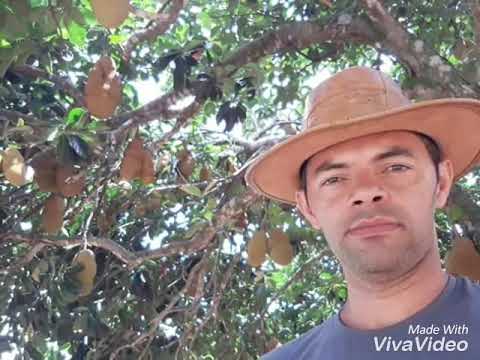 Roberta Miranda, sempre mais.