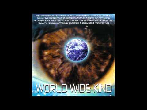 Susumu Hirasawa - MOON PLANT ONE