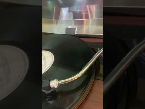 Trio Expres- Viața e un cântec (1986)