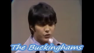 NEW 📀 Don&#39;t You Care - The Buckinghams {Stereo} 1967