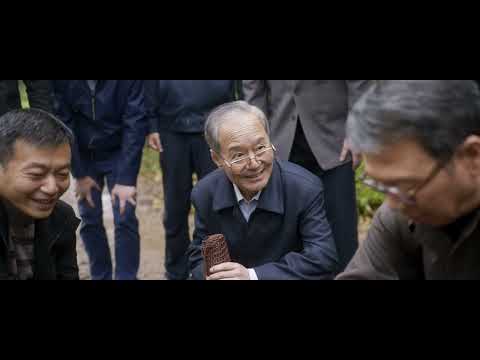 Hachiko 2 Siempre a tu lado