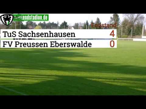 TuS Sachsenhausen - Preussen Eberswalde