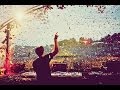 The Best Of Alesso 2013