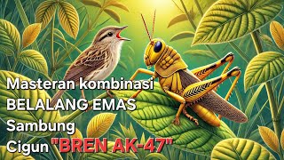 Download lagu Masteran Belalang Emas Sambung Burung Cigun Ngbren Panjang Jeda 1 Menit mp3 Download lagu Masteran Belalang Emas Sambung Burung Cigun Ngbren Panjang Jeda 1 Menit mp3