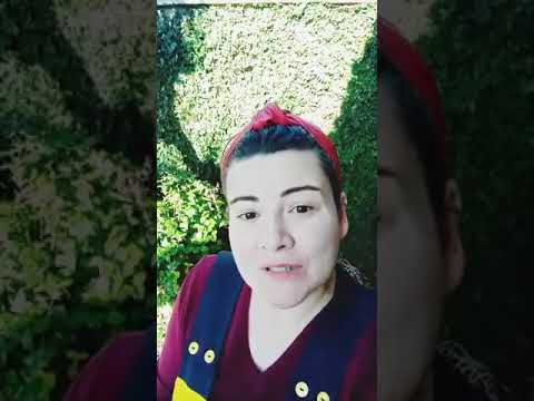 Orquestra dos bichos