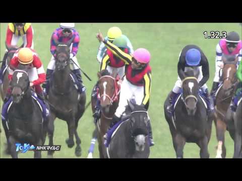 2017 NHK Mile Championship International Group 1 1600m