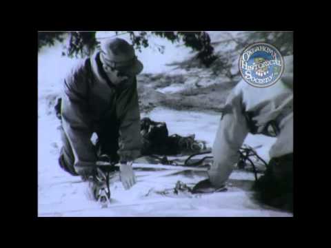 TF 7-682 Ski Sled. 1943-1945.