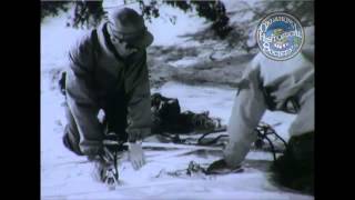 TF 7-682 Ski Sled. 1943-1945.