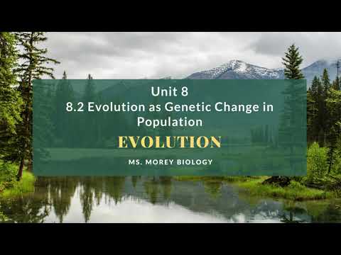 8.2 Notes Evolution