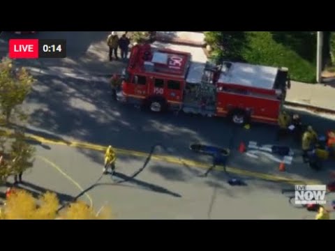 Video | LIVE NOW: Dog stuck in sewer drain in Los Angeles area
