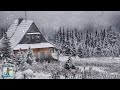 Relaxing Snowfall Beautiful Falling Snow The Best Relax Music