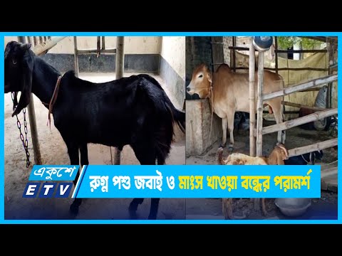 রুগ্ন পশু জবাই ও মাংস খাওয়া বন্ধের পরামর্শ | ETV News