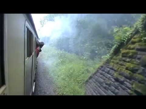 D1010 western campaigner THRASH