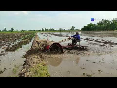 Reviving Wetlands: Nature's Hidden Treasure!