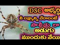 dsc అభ్యర్థి సాలీడులా ప్రయత్నించు నీ కలల లక్ష్యాన్ని సాధించితీరుతావు apdsc2024 @vjay150