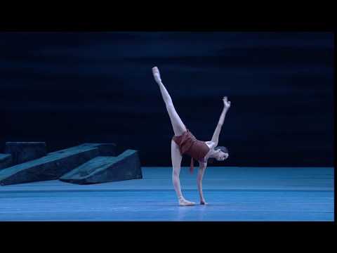 Superb Dancers, Adagio from "Spartacus" by Aram Khachaturian