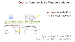 Lecture 1.4 - Biomass Reaction | Genome Scale Metabolic Models