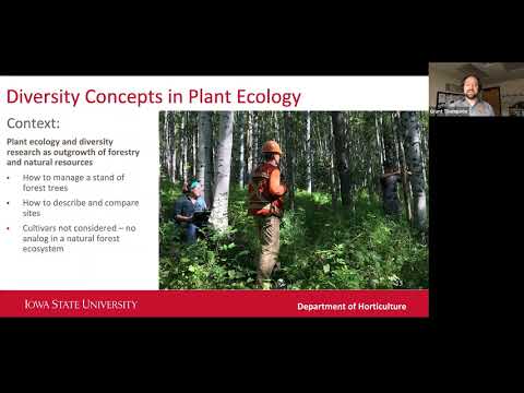 Relationships between consultant discipline and specified tree diversity