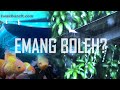 Efek Air Hujan Untuk Ikan Hias