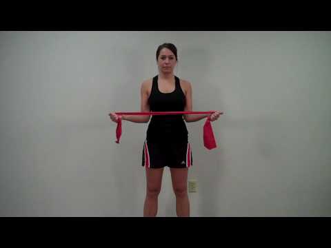 Bilateral Shoulder External Rotation in Neutral with Elastic Band.mp4