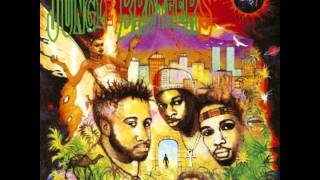 The Jungle Brothers - Back To The Old School