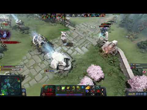 Dota 2 typical sea players