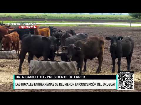 DR  NICASIO TITO   PRESIDENTE DE FARER