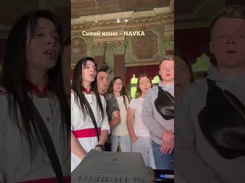 Як вам така версія? #сивийконю #навка #navka