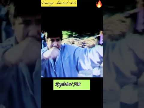 Master Wang Xuanjie #dachengquan #yiquan #shorts