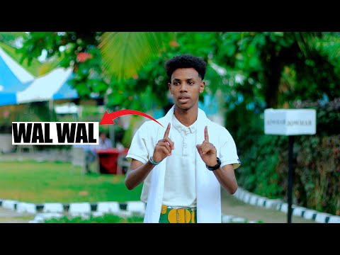 WAL WAL DHAANTO CUSUB KAAMIL YARE NEW VIDEO DHAANTO 2025