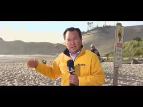 Cape Kiwanda's sandstone pedestal collapses Atlanta 1 | Premiere FX