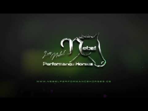 Quick Tipp 3 mit Lars Nebel  Thema: Drehen