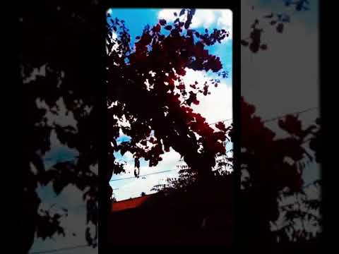 NGKS & Caio Kazzi - flexiona