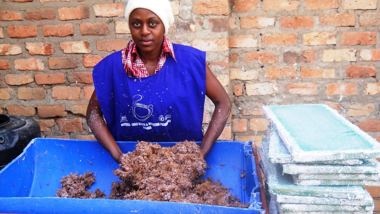 BanaPads - SEED Africa Winner 2013, Uganda