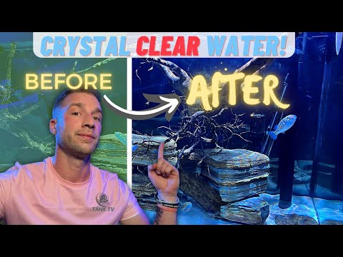 The 5 Hacks For Crystal Clear Aquarium Water.
