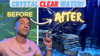 The 5 Hacks For Crystal Clear Aquarium Water.