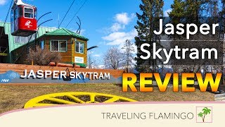 Is the Jasper SkyTram Worth It? | Things to do in Jasper National Park (Alberta, Canada)