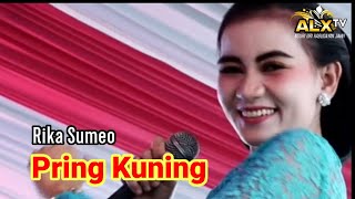 Download lagu Pring kuning campursari pondok asri mp3